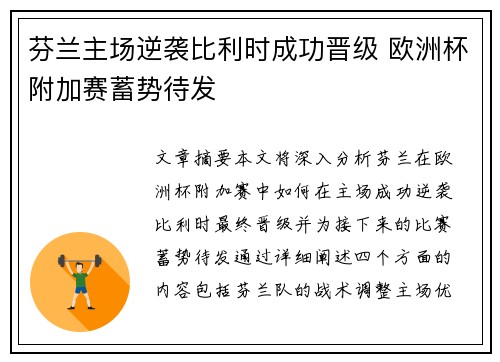 芬兰主场逆袭比利时成功晋级 欧洲杯附加赛蓄势待发